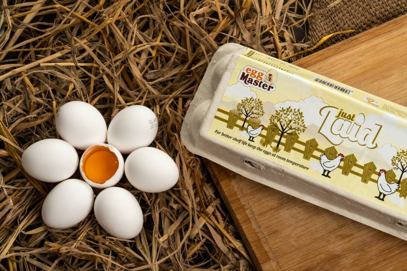 Egg Master NA Hen White Eggs